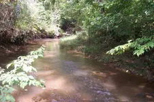 100_4323.webp