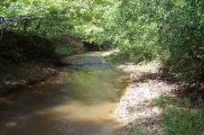 100_4333.webp