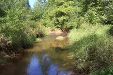 100_4334.webp