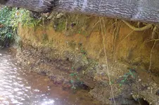100_4335.webp