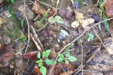 100_4342.webp