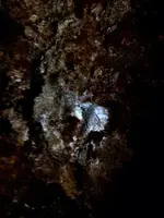 image-4068376658.webp