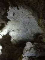 image-3632806538.webp