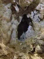image-3926239771.webp