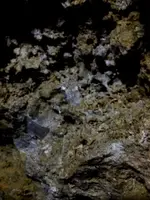 image-2774872701.webp