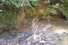 100_4332.webp