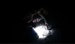 image-168506145.webp image-168506145.webp