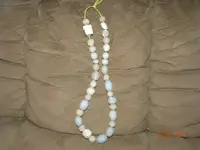 DSCN5635.webp