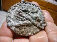 Medalion_2.webp