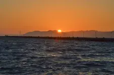 969jc7u.webp