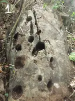 DSCF0394.webp