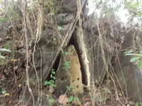DSCF0379.webp