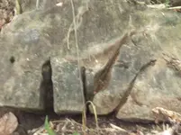 DSCF0384.webp