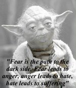 thumbs_fear_is_the_path_to_the_dark_side_fear_leads_to_anger_anger_leads_to_hate_hate_leads_to_s.jpg