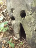 DSCF0399.webp