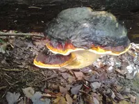 2013-11-08 10.49.40.webp