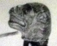 image-1974932418.webp