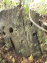 DSCF0397.webp