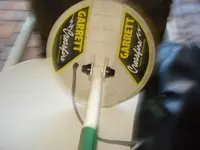image-1736319538.webp