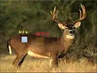 23879834_BG1.webp