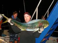 image-3163246762.webp