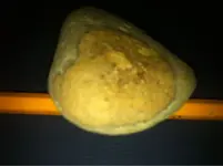 image-4259106025.webp