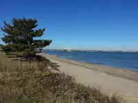 20131114_100307.webp 20131114_100307.webp