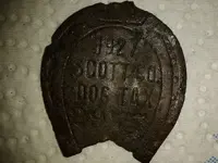 dog tag.webp