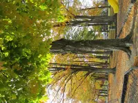 IMG_0065_1.webp