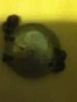 image-471025992.webp