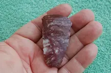 Kansas Pieces (3).webp