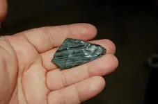 Nevada (7).webp