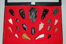 Nevada (5).webp