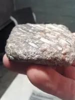 ForumRunner_20131022_201619.webp