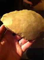 image-3026280984.webp