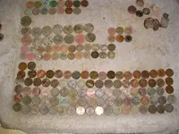 larg 041.webp