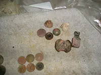 larg 044.webp