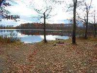 SAM_0391.webp