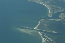 St. Pete Fl.webp