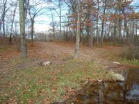 SAM_0393.webp SAM_0393.webp