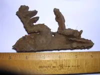 DSCN2017.webp DSCN2017.webp