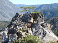 DSCN0092.webp