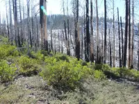 DSCN0098.webp