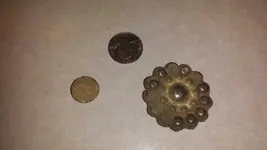 Musket ball Saddle Conch.webp