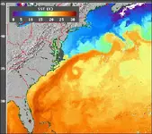 Gulf-Stream-SST_.webp