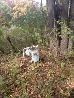 image-3096555400.webp