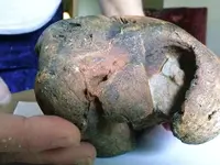 SKULL SIDE II.webp