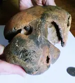 SKULL TOP IV.webp