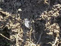 100_1227.webp