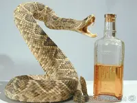 snake_and_oil.webp